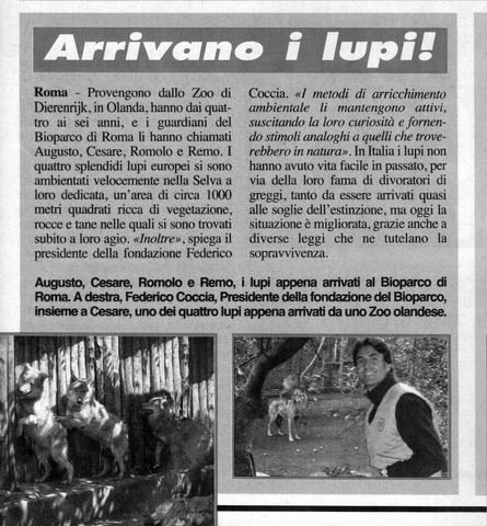 roma lupi